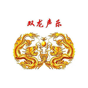 河南省双龙声乐艺术中心logo